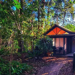 Rainforest Байрон-Бей
